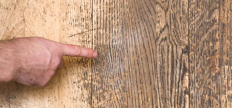 Wood Door Scratch Repair in Rolling Hills Estates
